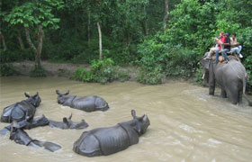 Kathmandu, Pokhara & Chitwan 