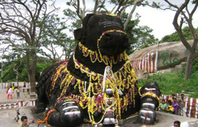 The Beauty of South India